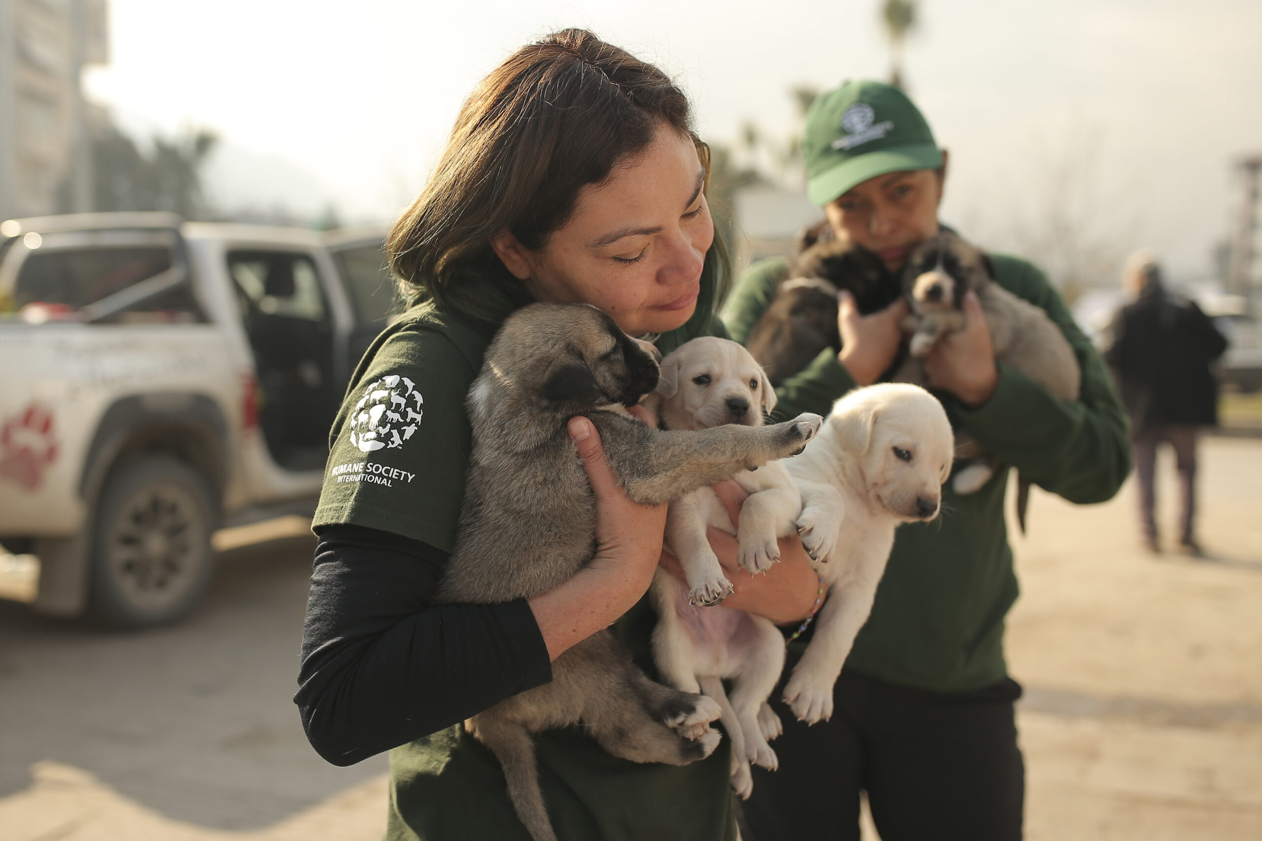 We're on the ground in Turkey to help save animals · A Humane World