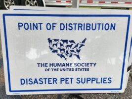 Helping hundreds of families and their animals after Hurricane Idalia